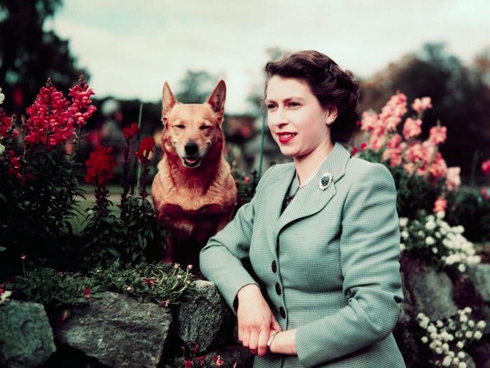The Queen Had More Than 30 Corgis Over Her 70-Year Reign