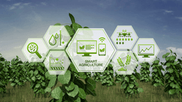 Smart Agriculture