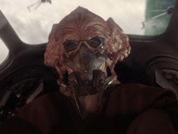 Plo Koon