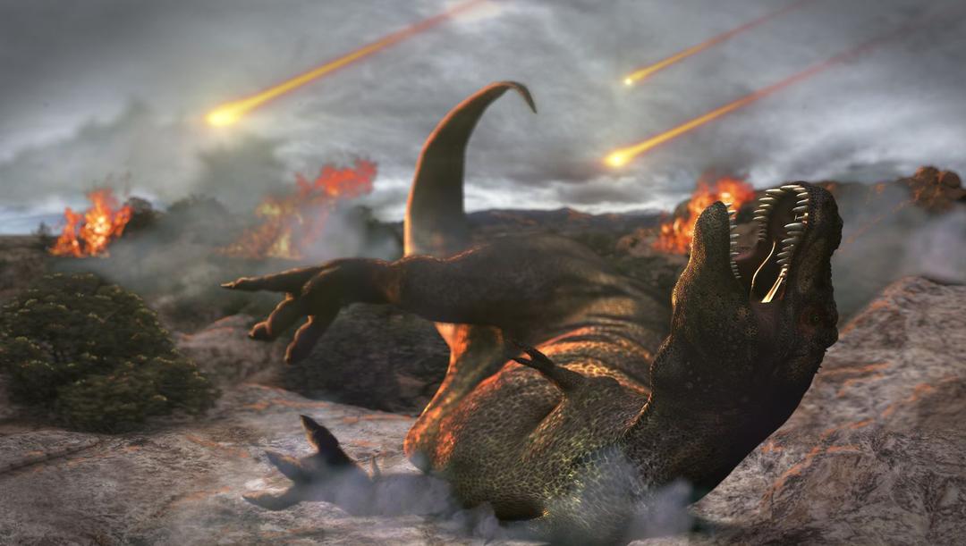 Cretaceous-Tertiary Mass Extinction