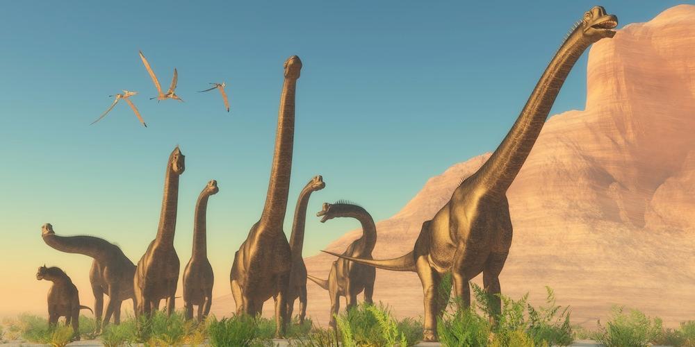 Dinosaurs Migrated Out of Europe as Ancient Supercontinent Broke Up | Live  Science