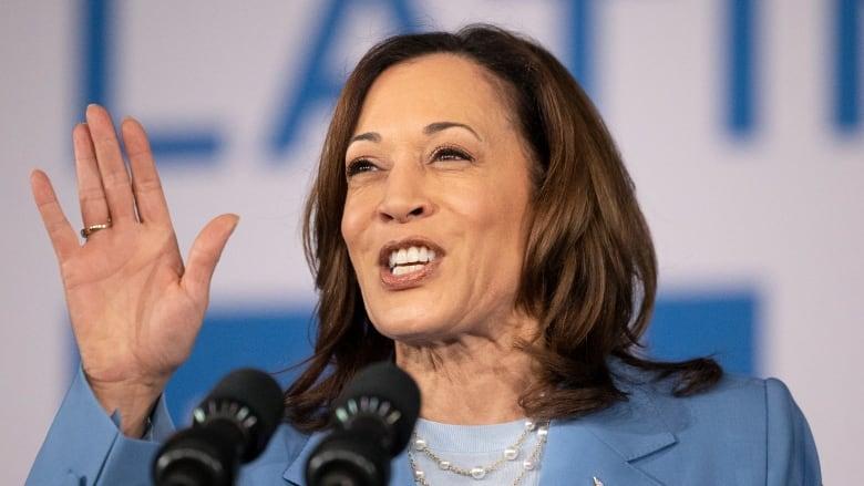 Kamala Harris wants to be U.S. president. Her mixed record might make it an uphill battle | CBC News