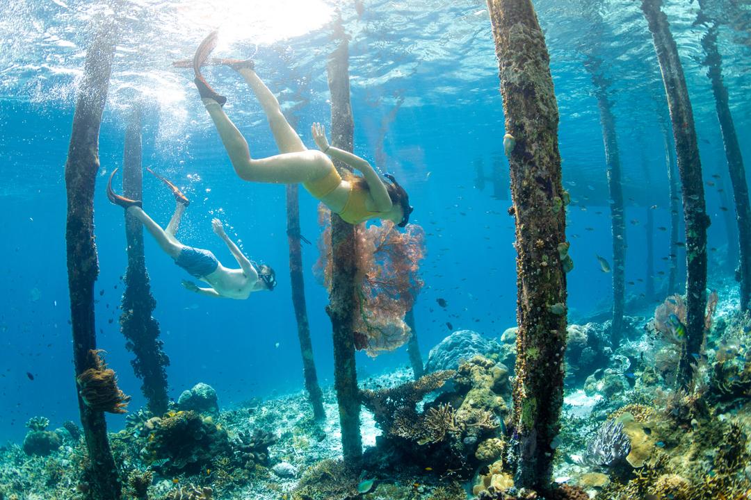 Sauwandarek Jetty | Meridian Adventure Raja Ampat Indonesia | Scuba Diving  | Marina Resort