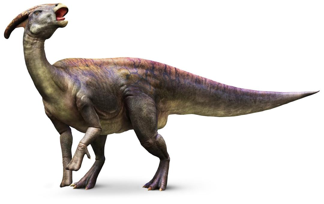 10 Parasaurolophus Facts For Kids - Facts.net