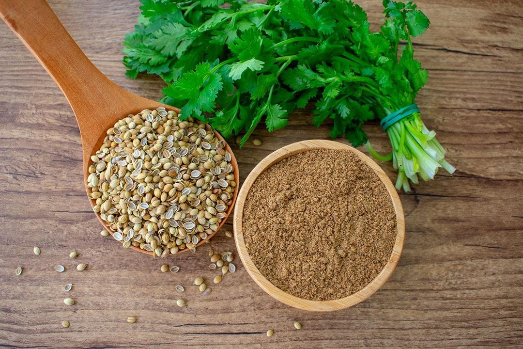 Coriander Seeds (Dhania) - Spice and Colour