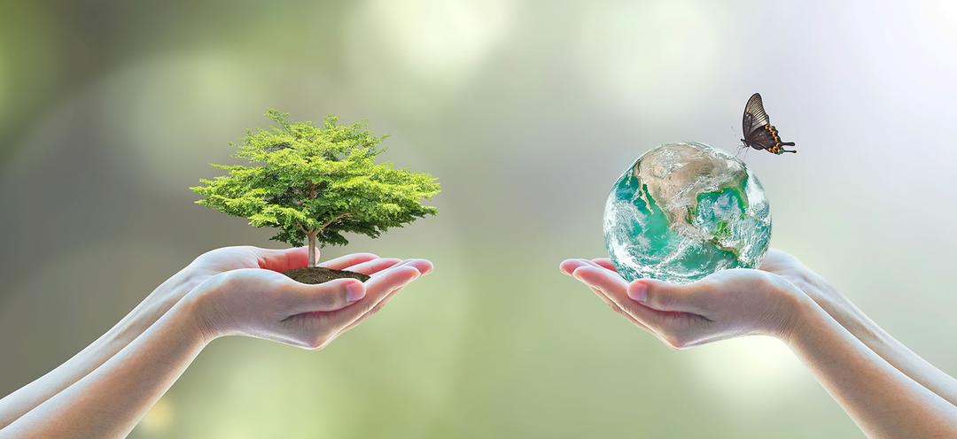 How to live the luxury lifestyle the sustainable way | Luxury Lifestyle  Magazine