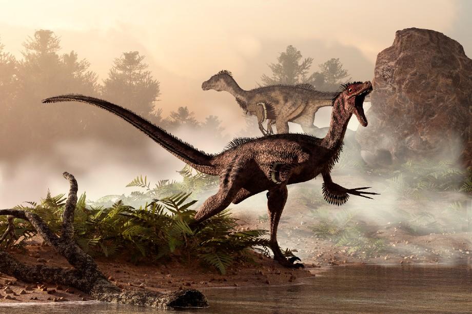 The scary truth about Velociraptors - BBC Science Focus Magazine