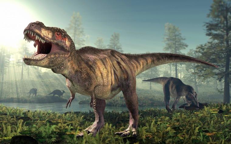 2.5 billion T. rex roamed Earth, but not all at once, study finds