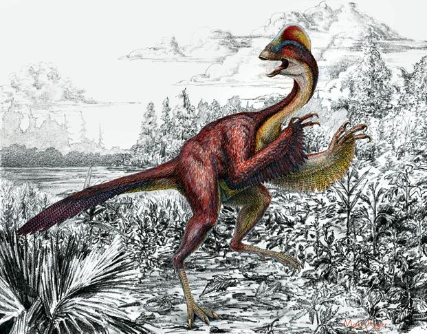 Bird-like dinosaur, birthing frog among 2015’s top 10 new species