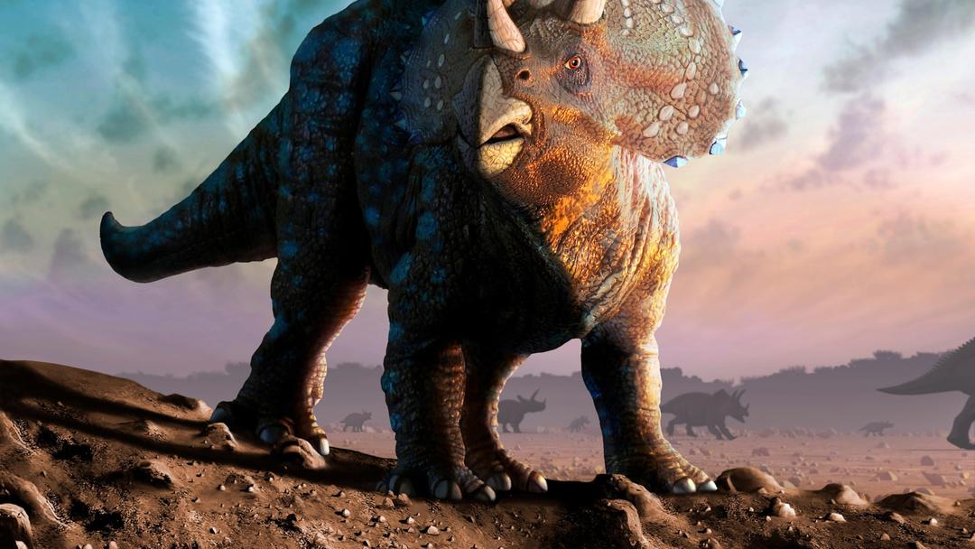 Triceratops horridus, facts and photos