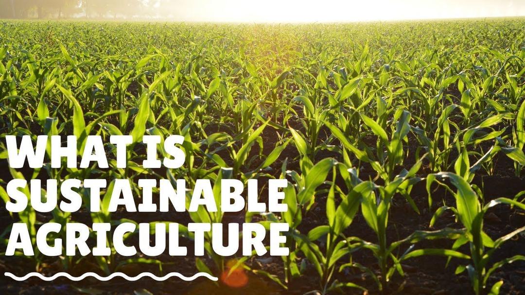 Sustainable Agriculture