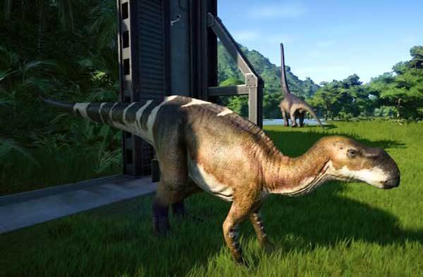 Famous Dinosaurs Discovered in Australia | My Dinosaurs