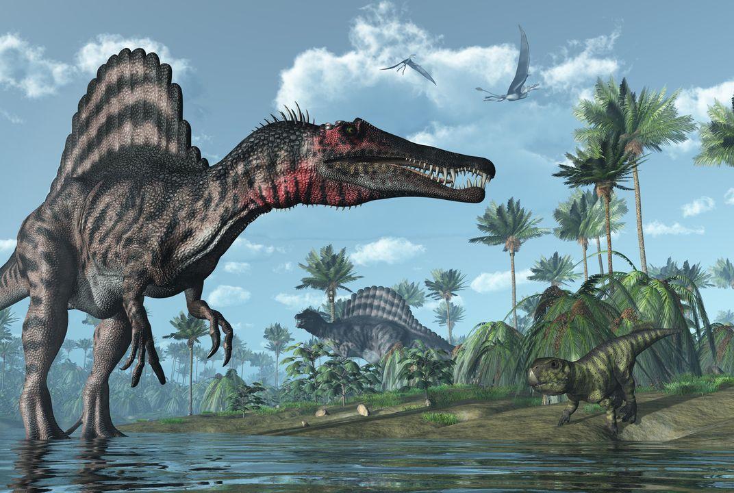 Rediscovering Spinosaurus, the Lost Dinosaur | Smithsonian