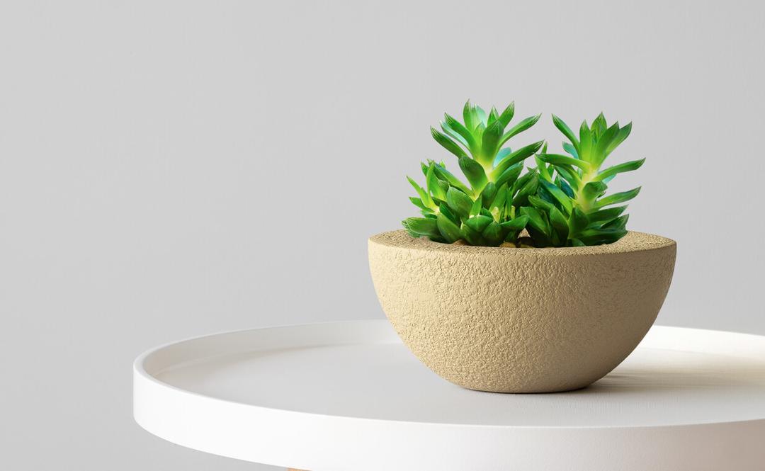 Small Planters | 10 inch indoor planters | Celosi by Bonasila