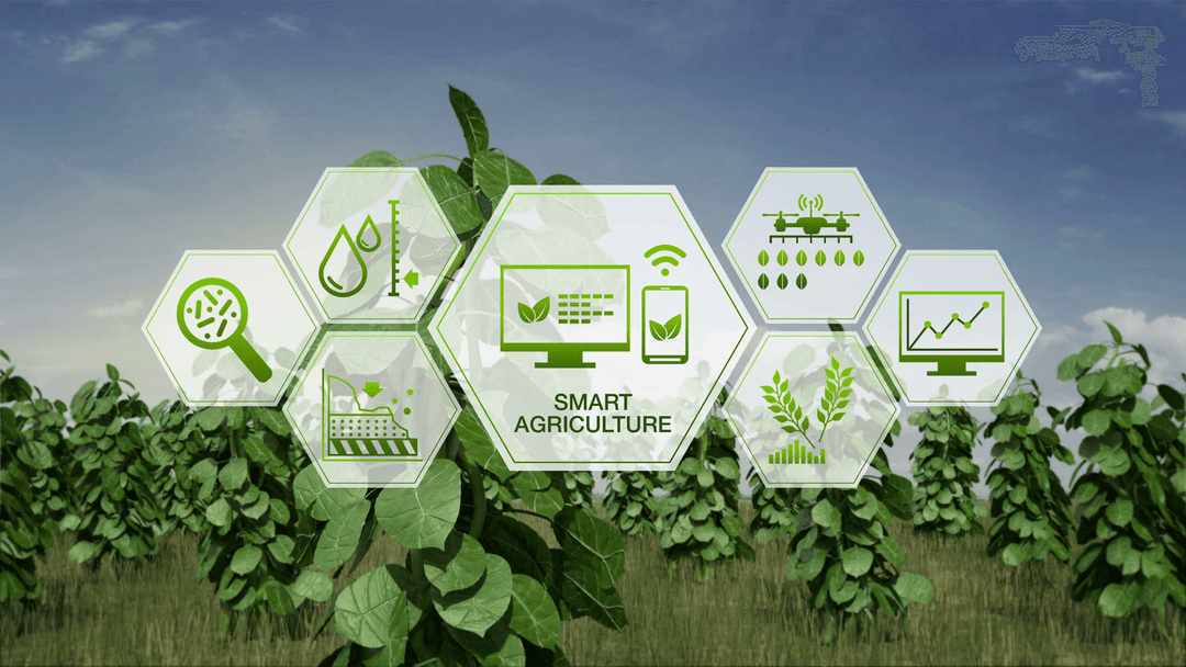 Smart Agriculture