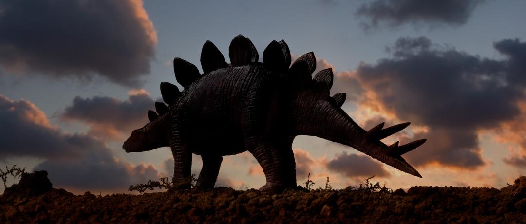 Stegosaurus: The enigmatic icon of the Jurassic - BBC Science Focus Magazine